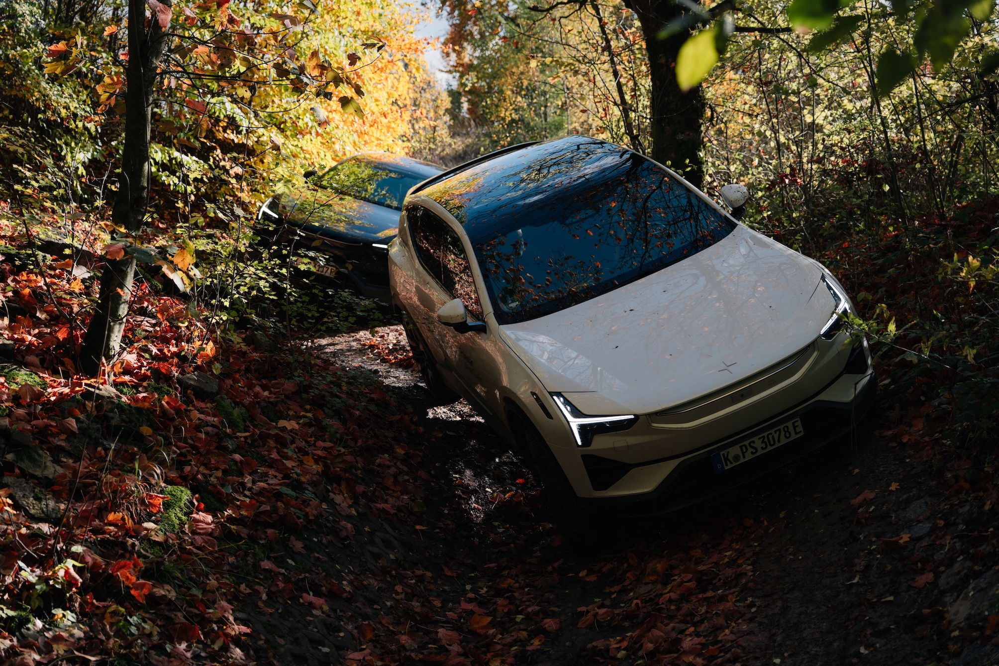 Polestar Long Range Dual Motor mit Performance Paket